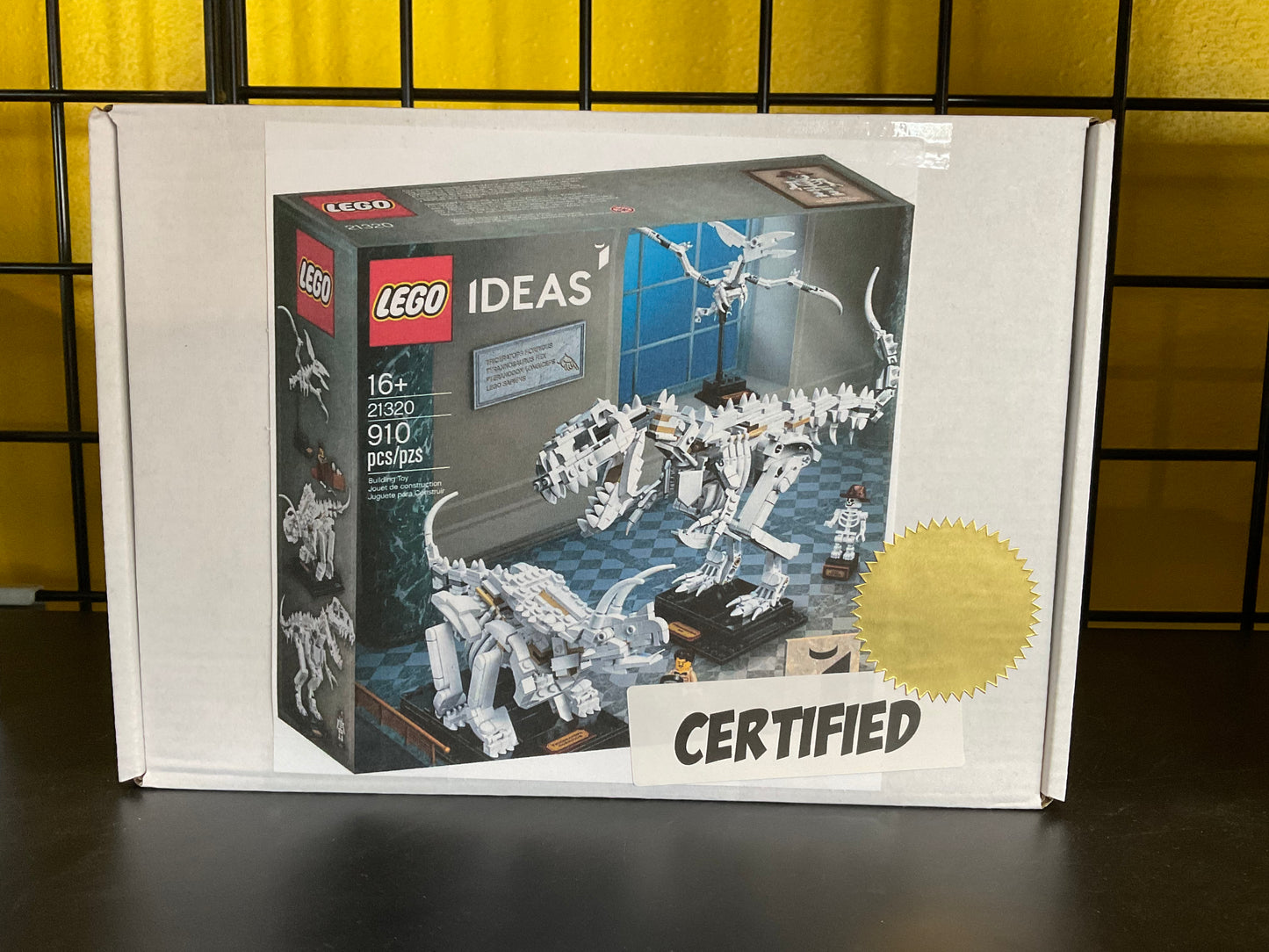 Dinosaur Fossils Certified