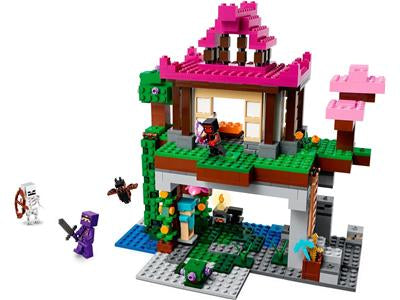 LEGO 21183 The Training Grounds - Retired – bricksandminfigsmetroeast
