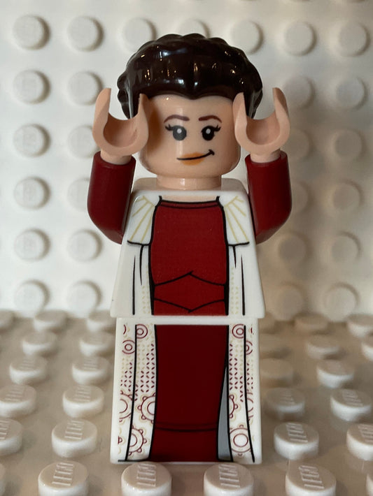 sw0972 LEGO Star Wars Princess Leia Bespin minifigure