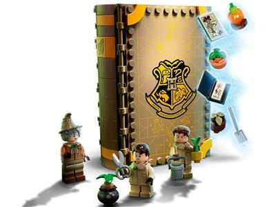 LEGO 76384 Hogwarts Moment: Herbology Class - Retired