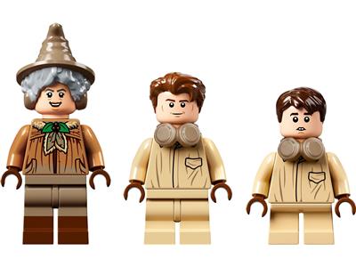 LEGO 76384 Hogwarts Moment: Herbology Class - Retired