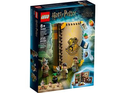 LEGO 76384 Hogwarts Moment: Herbology Class - Retired