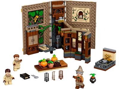 LEGO 76384 Hogwarts Moment: Herbology Class - Retired